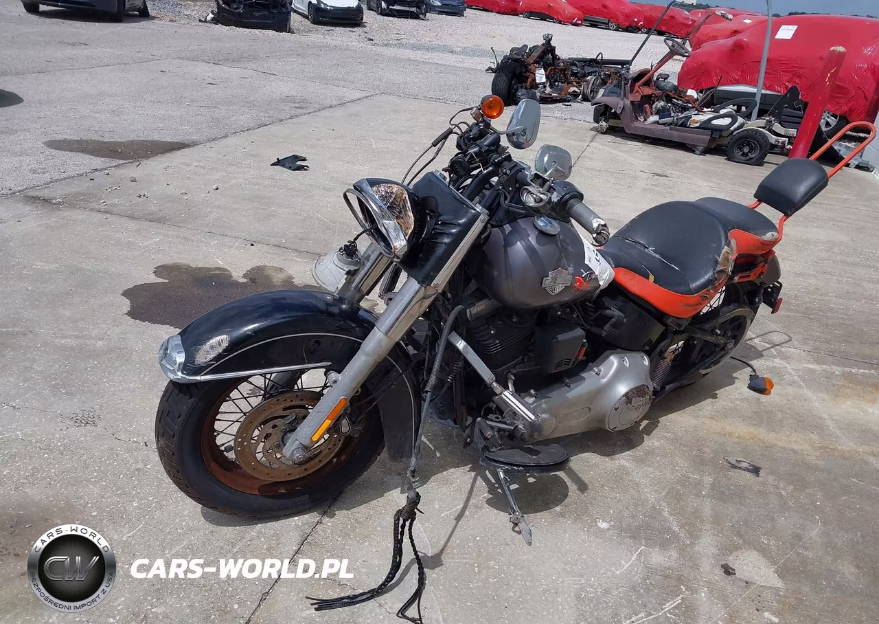 2014 Harley-Davidson Fls Softail Slim VIN:1HD1JRV10EB044016 - 12