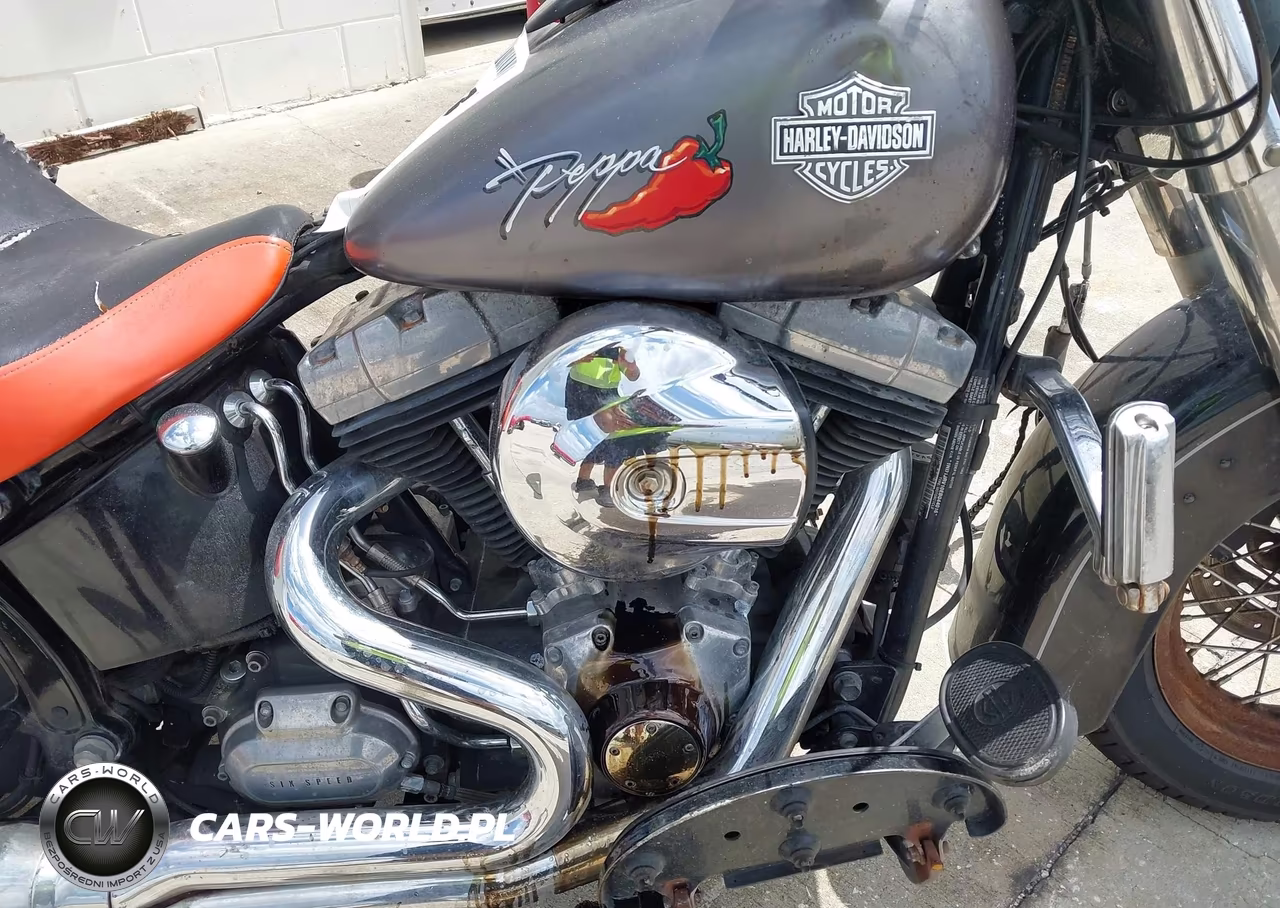 2014 Harley-Davidson Fls Softail Slim VIN:1HD1JRV10EB044016 - 8