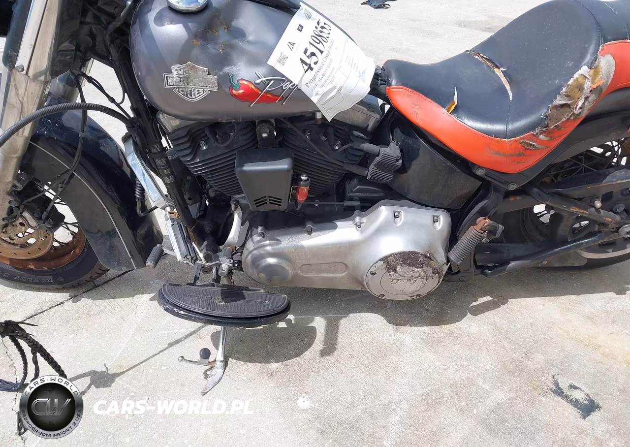 2014 Harley-Davidson Fls Softail Slim VIN:1HD1JRV10EB044016 - 9