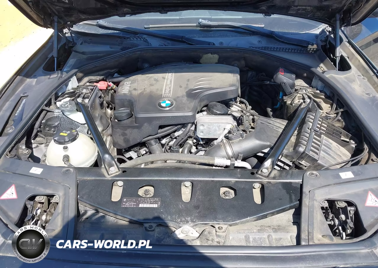 2015 BMW 528I VIN:WBA5A5C53FD516844 - 10