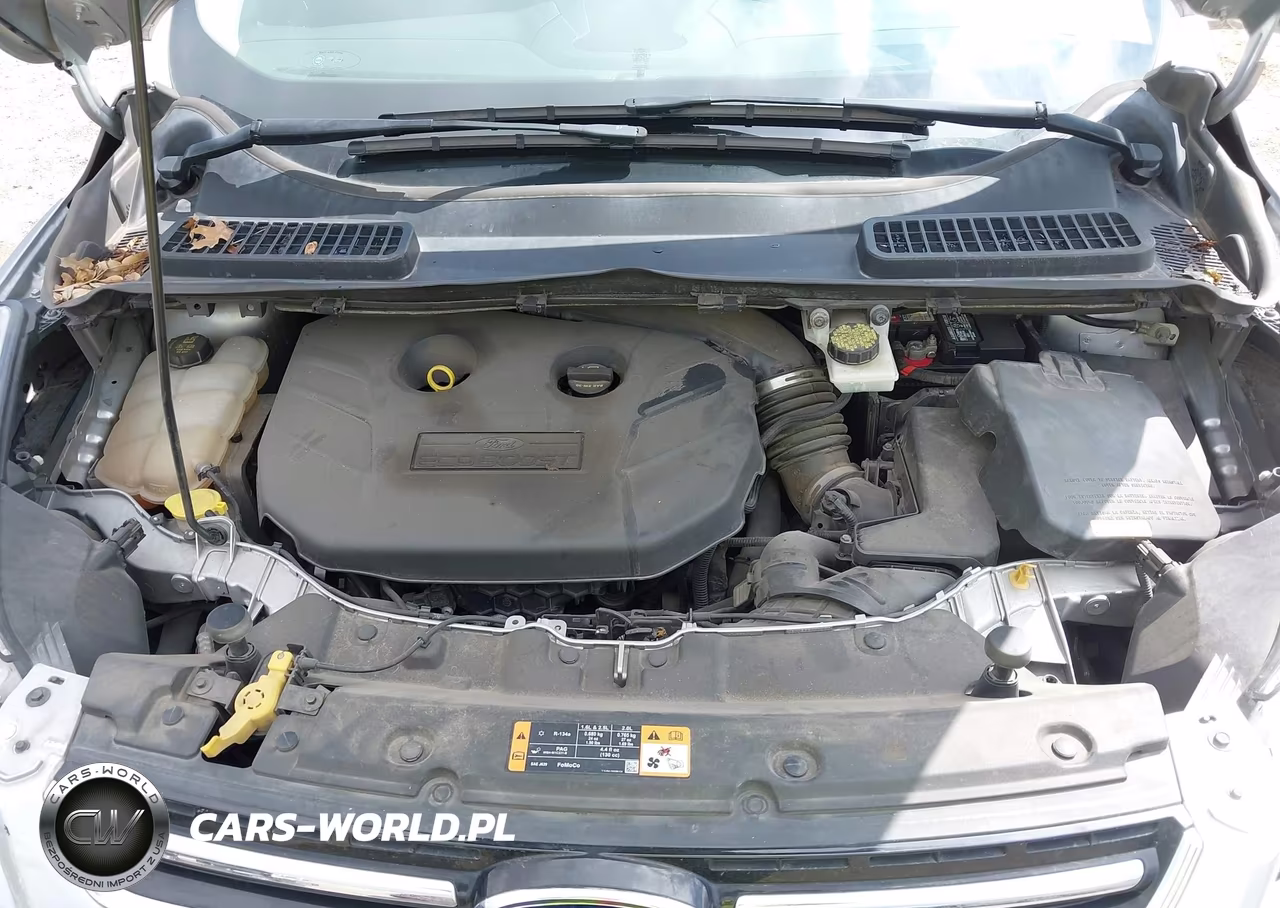 2014 Ford Escape Sel VIN:1FMCU0H9XEUB89630 - 10