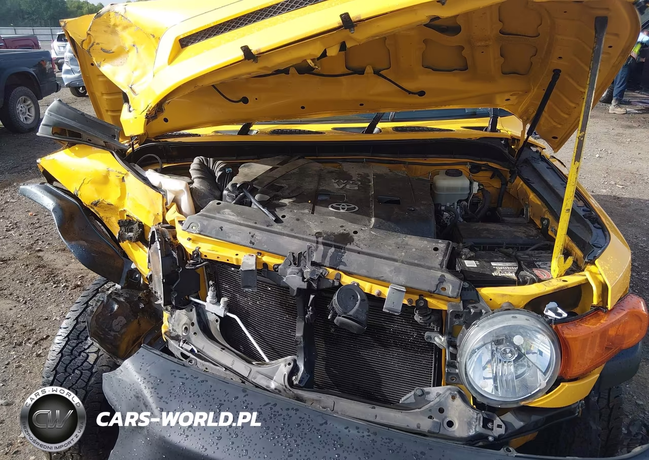 2007 Toyota Fj Cruiser VIN:JTEBU11F970049743 - 10