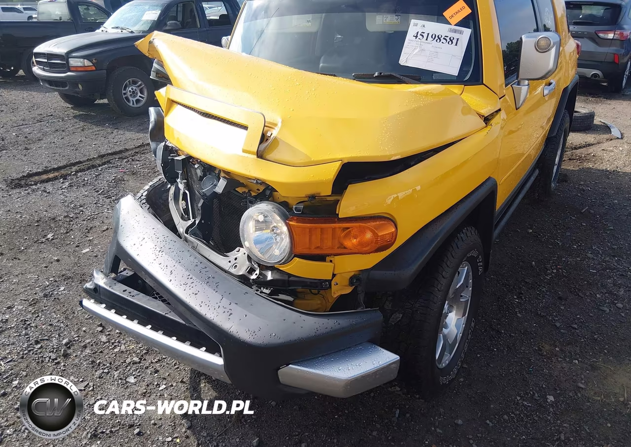 2007 Toyota Fj Cruiser VIN:JTEBU11F970049743 - 19