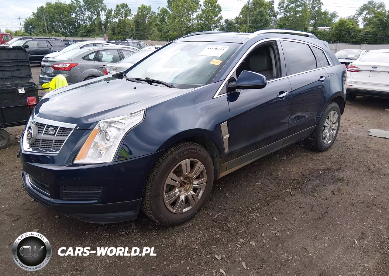 2011 Cadillac Srx Luxury Collection VIN:3GYFNAEY8BS641564 - 2