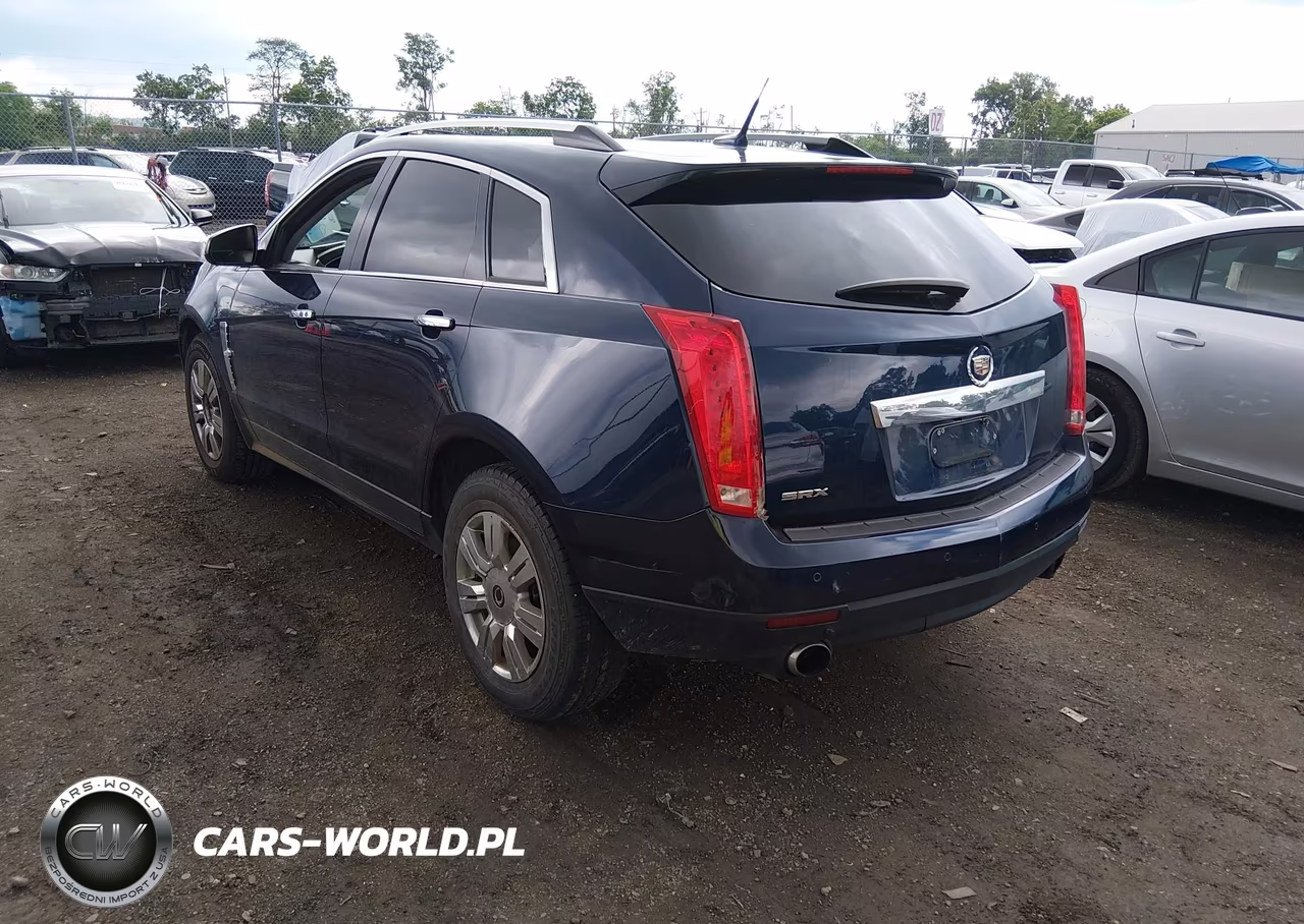 2011 Cadillac Srx Luxury Collection VIN:3GYFNAEY8BS641564 - 3