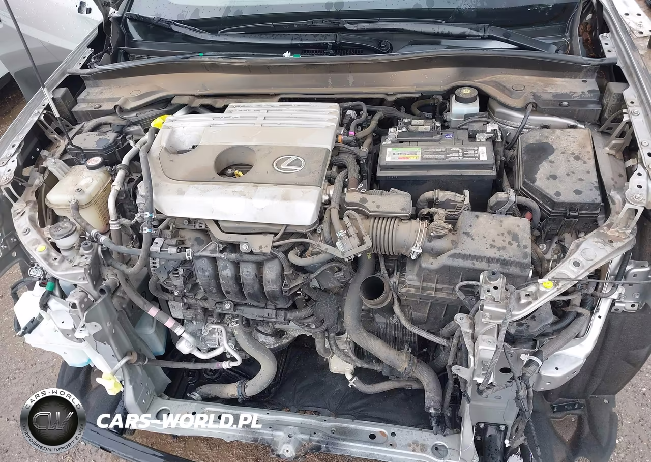 2019 Lexus Ux 200 VIN:JTHY3JBH5K2017465 - 10