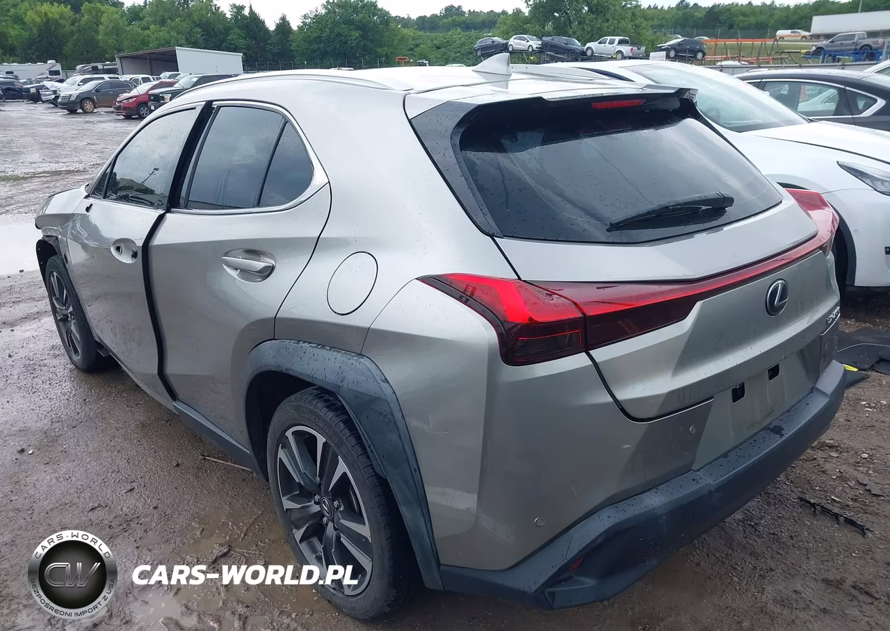 2019 Lexus Ux 200 VIN:JTHY3JBH5K2017465 - 3