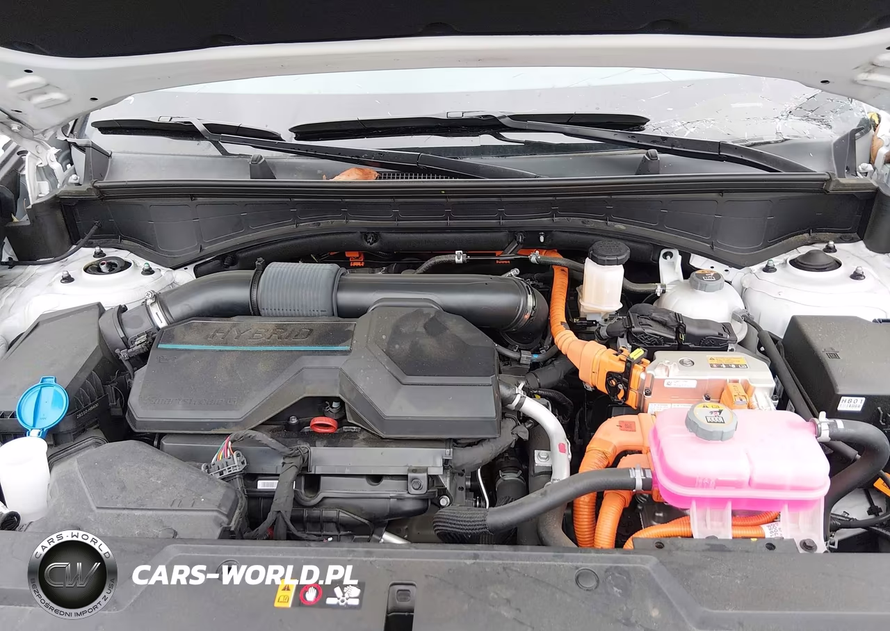 2025 Hyundai Santa Fe Hybrid Sel VIN:5NMP24G16SH055134 - 10