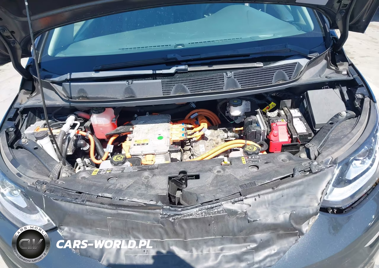 2019 Chevrolet Bolt Ev Premier VIN:1G1FZ6S07K4103081 - 10