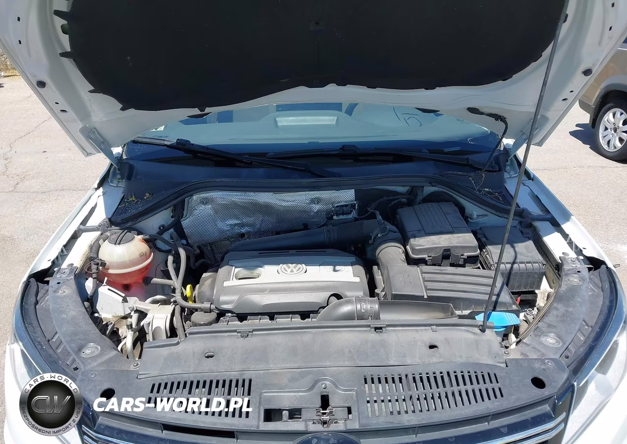 2017 Volkswagen Tiguan 2.0T Wolfsburg Edition VIN:WVGRV7AX8HK003205 - 10