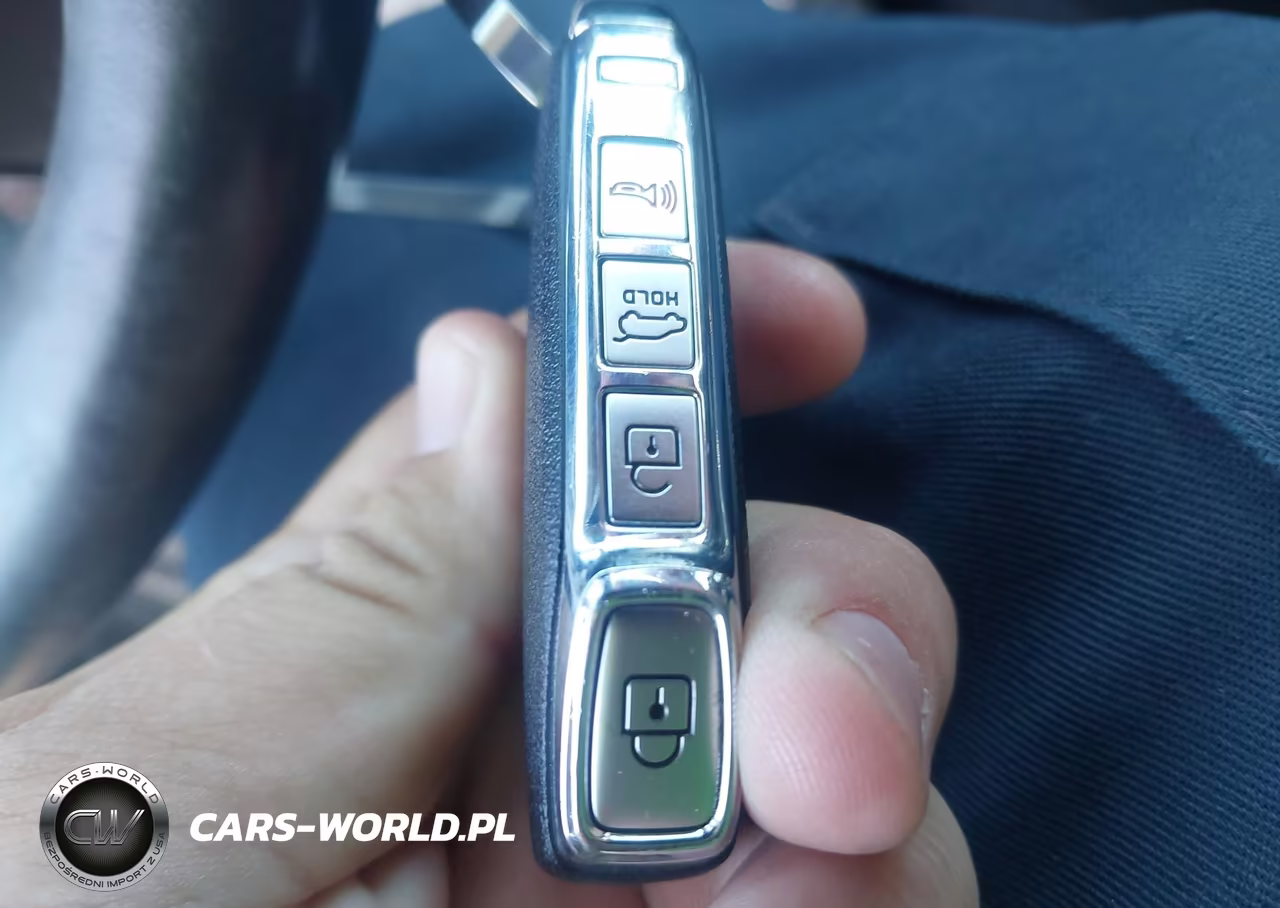 2022 Kia Telluride Sx VIN:5XYP5DHC4NG236948 - 11