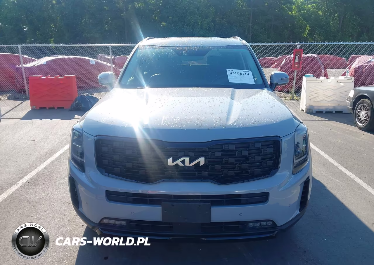 2022 Kia Telluride Sx VIN:5XYP5DHC4NG236948 - 12
