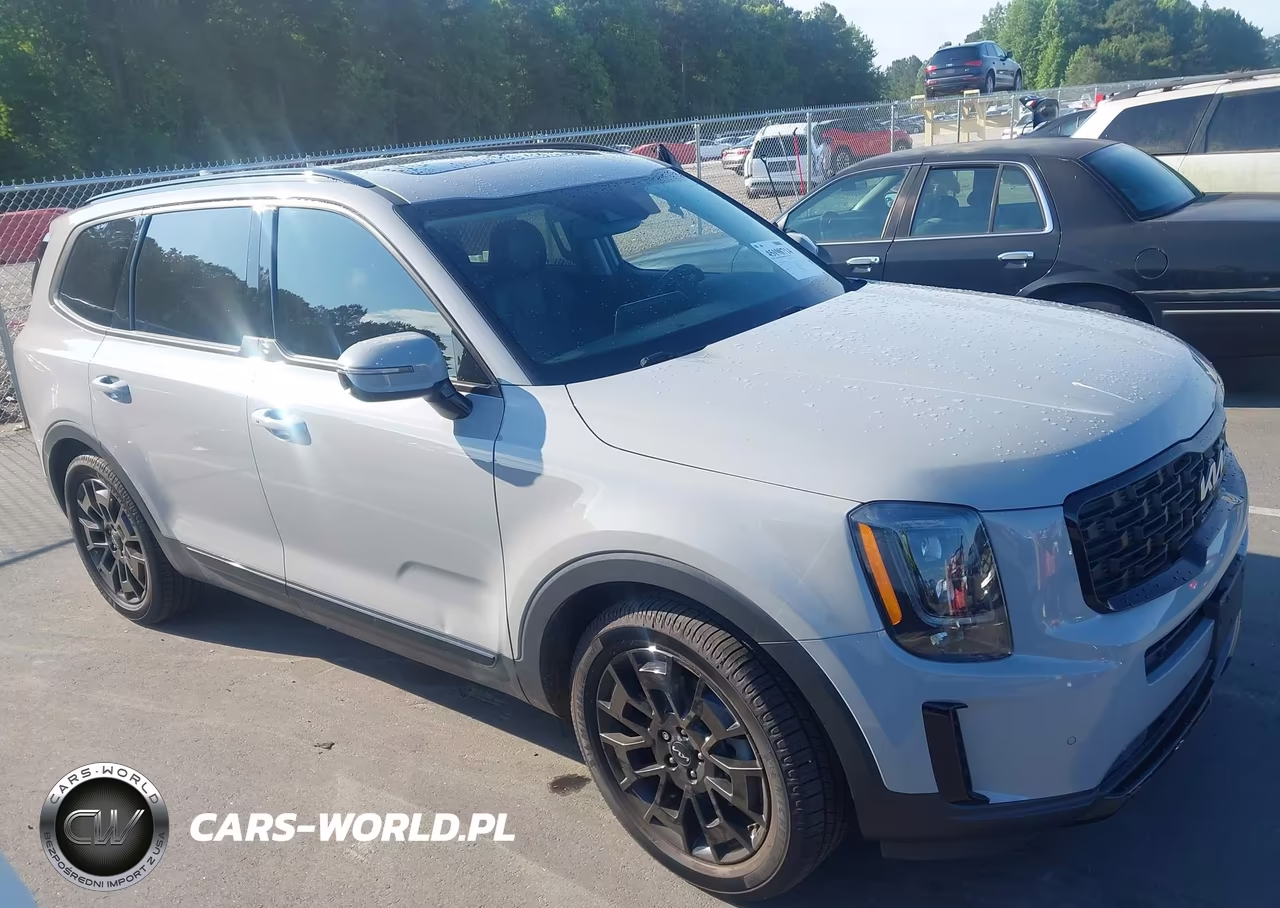 2022 Kia Telluride Sx VIN:5XYP5DHC4NG236948 - 13