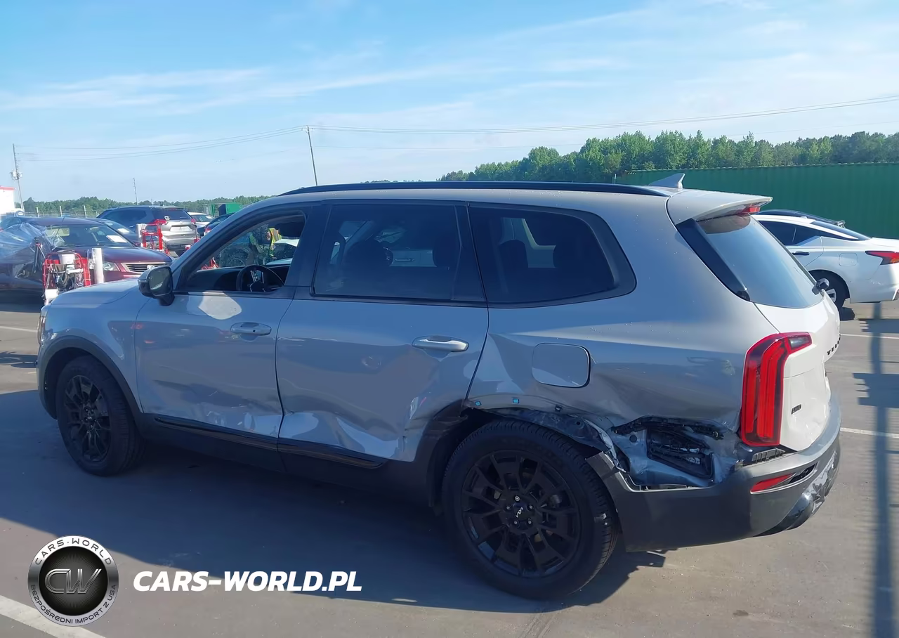 2022 Kia Telluride Sx VIN:5XYP5DHC4NG236948 - 14