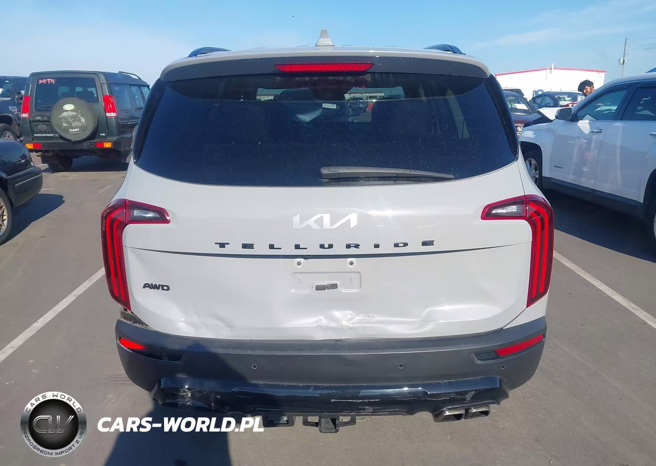 2022 Kia Telluride Sx VIN:5XYP5DHC4NG236948 - 16