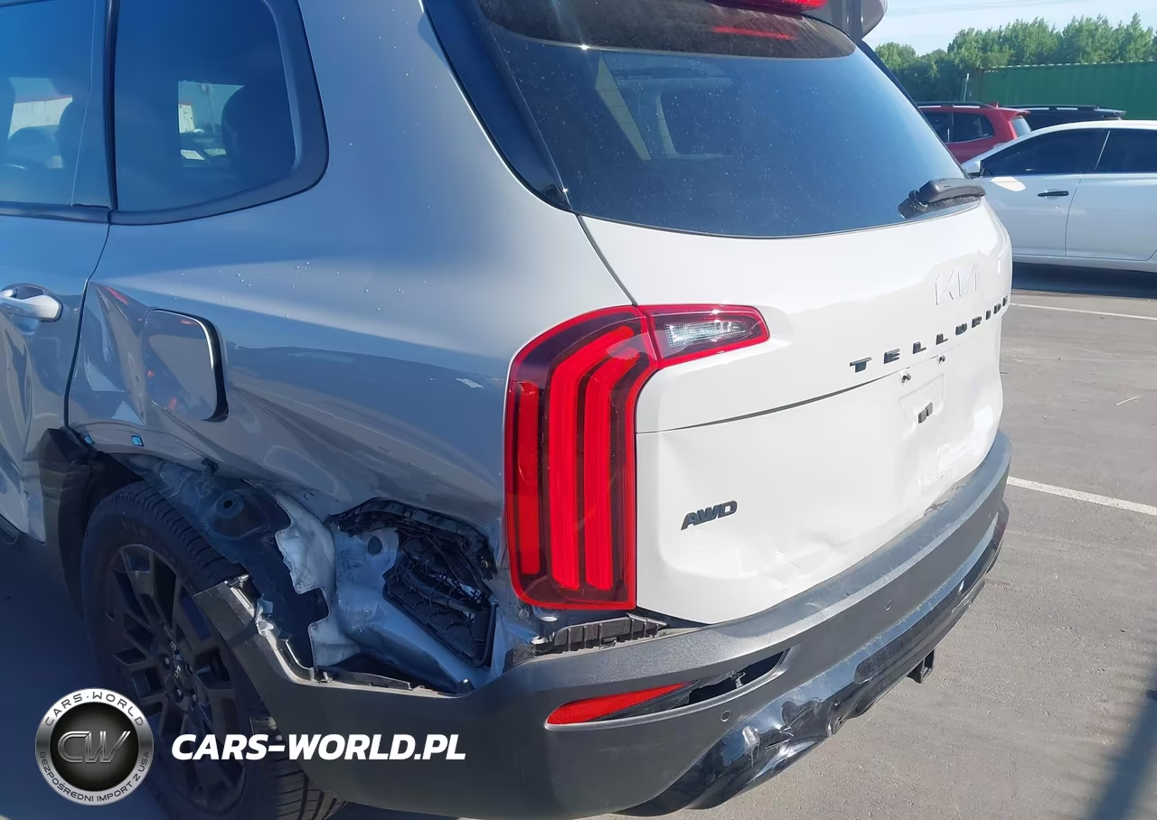 2022 Kia Telluride Sx VIN:5XYP5DHC4NG236948 - 17