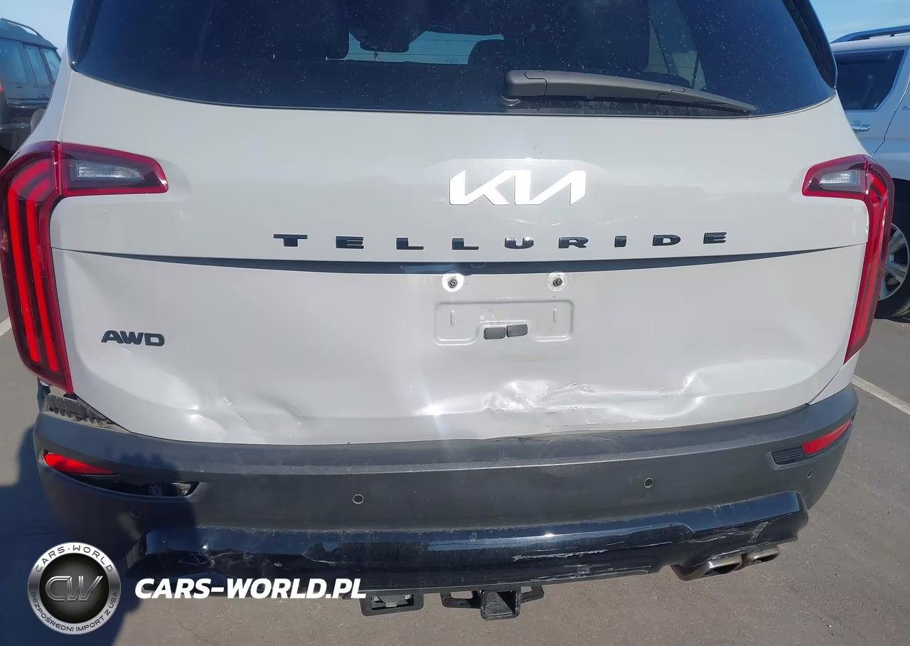 2022 Kia Telluride Sx VIN:5XYP5DHC4NG236948 - 18