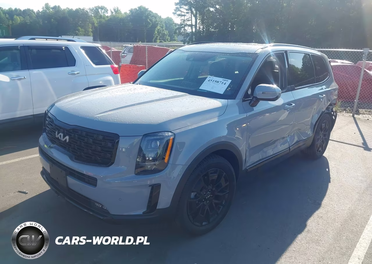 2022 Kia Telluride Sx VIN:5XYP5DHC4NG236948 - 2
