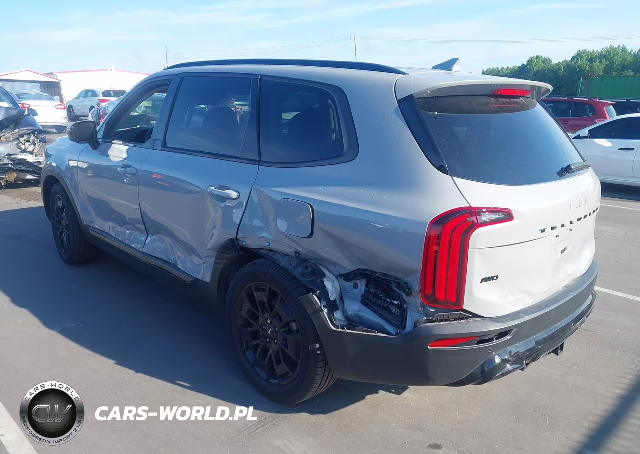 2022 Kia Telluride Sx VIN:5XYP5DHC4NG236948 - 3