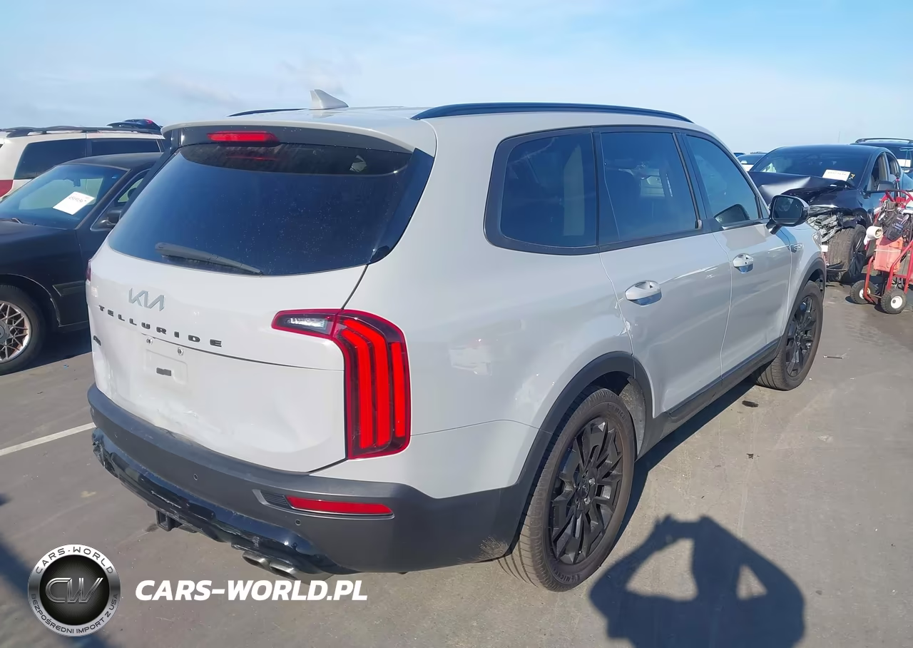 2022 Kia Telluride Sx VIN:5XYP5DHC4NG236948 - 4