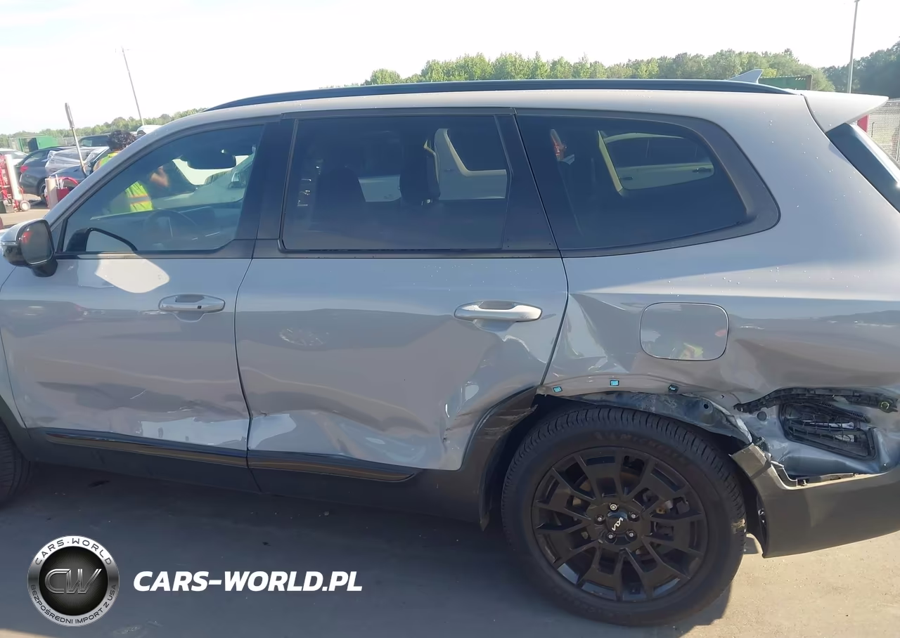 2022 Kia Telluride Sx VIN:5XYP5DHC4NG236948 - 6