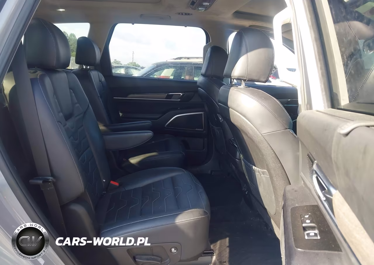 2022 Kia Telluride Sx VIN:5XYP5DHC4NG236948 - 8