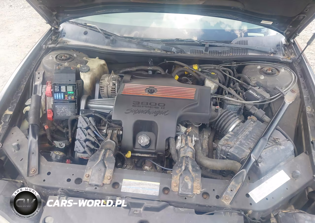 2004 Chevrolet Monte Carlo Ss Supercharged VIN:2G1WZ121649321752 - 10