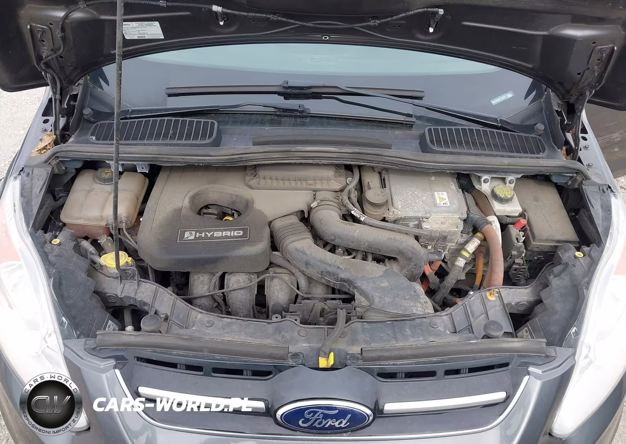 2015 Ford C-Max Hybrid Se VIN:1FADP5AU3FL123297 - 10