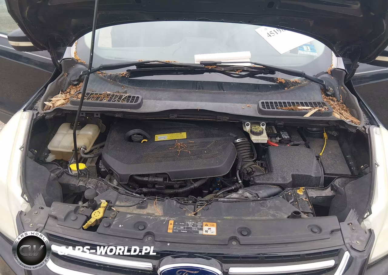 2014 Ford Escape Titanium VIN:1FMCU9JX2EUD29019 - 10