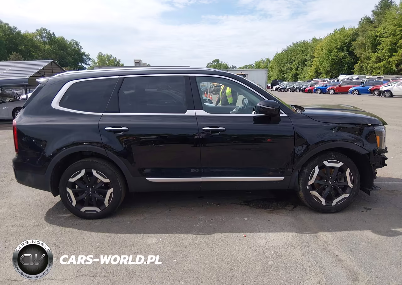 2024 Kia Telluride S VIN:5XYP6DGCXRG445373 - 13