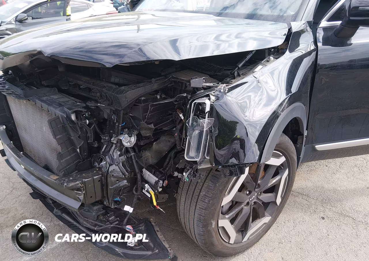 2024 Kia Telluride S VIN:5XYP6DGCXRG445373 - 6