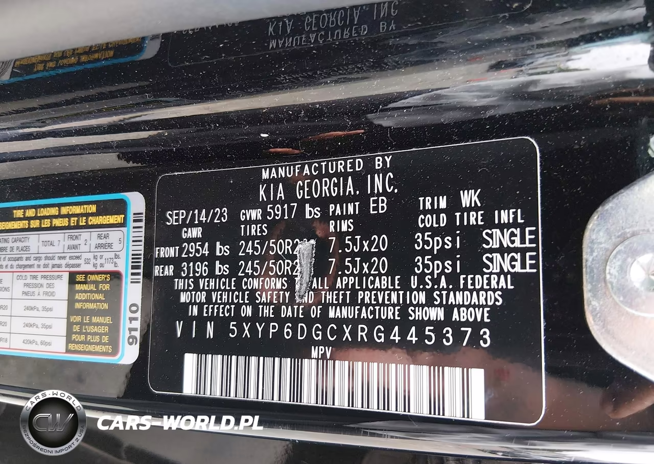2024 Kia Telluride S VIN:5XYP6DGCXRG445373 - 9
