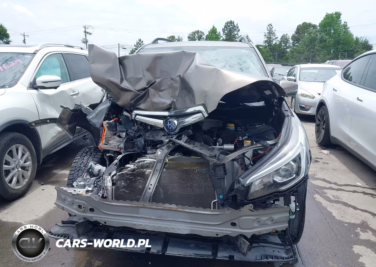 2019 Subaru Forester Limited VIN:JF2SKAUC8KH454984 - 11