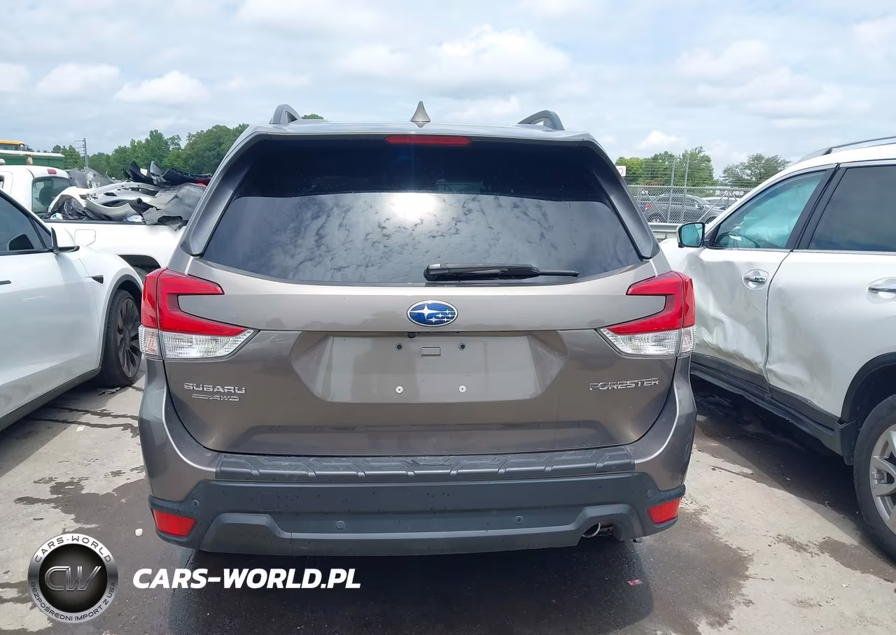 2019 Subaru Forester Limited VIN:JF2SKAUC8KH454984 - 15