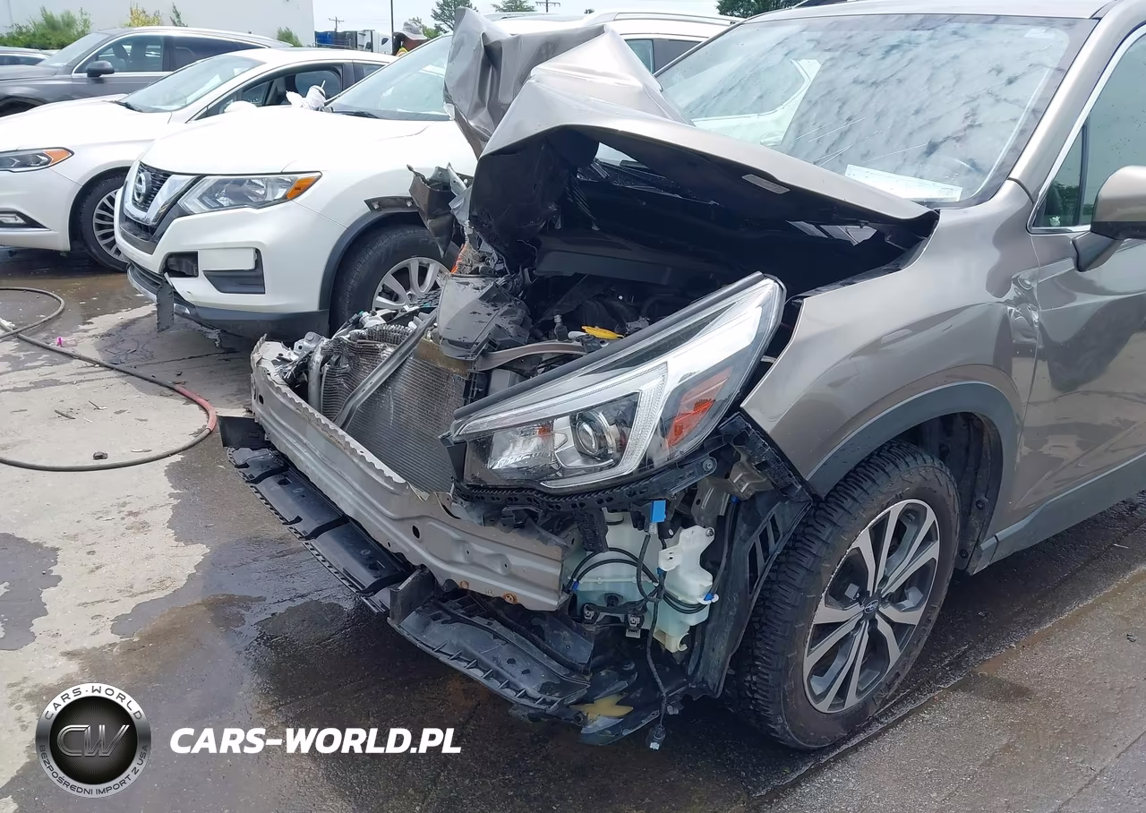 2019 Subaru Forester Limited VIN:JF2SKAUC8KH454984 - 6