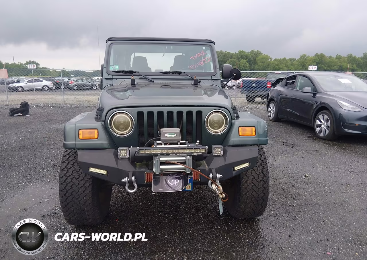 2003 Jeep Wrangler Sahara VIN:1J4FA59S43P376862 - 12