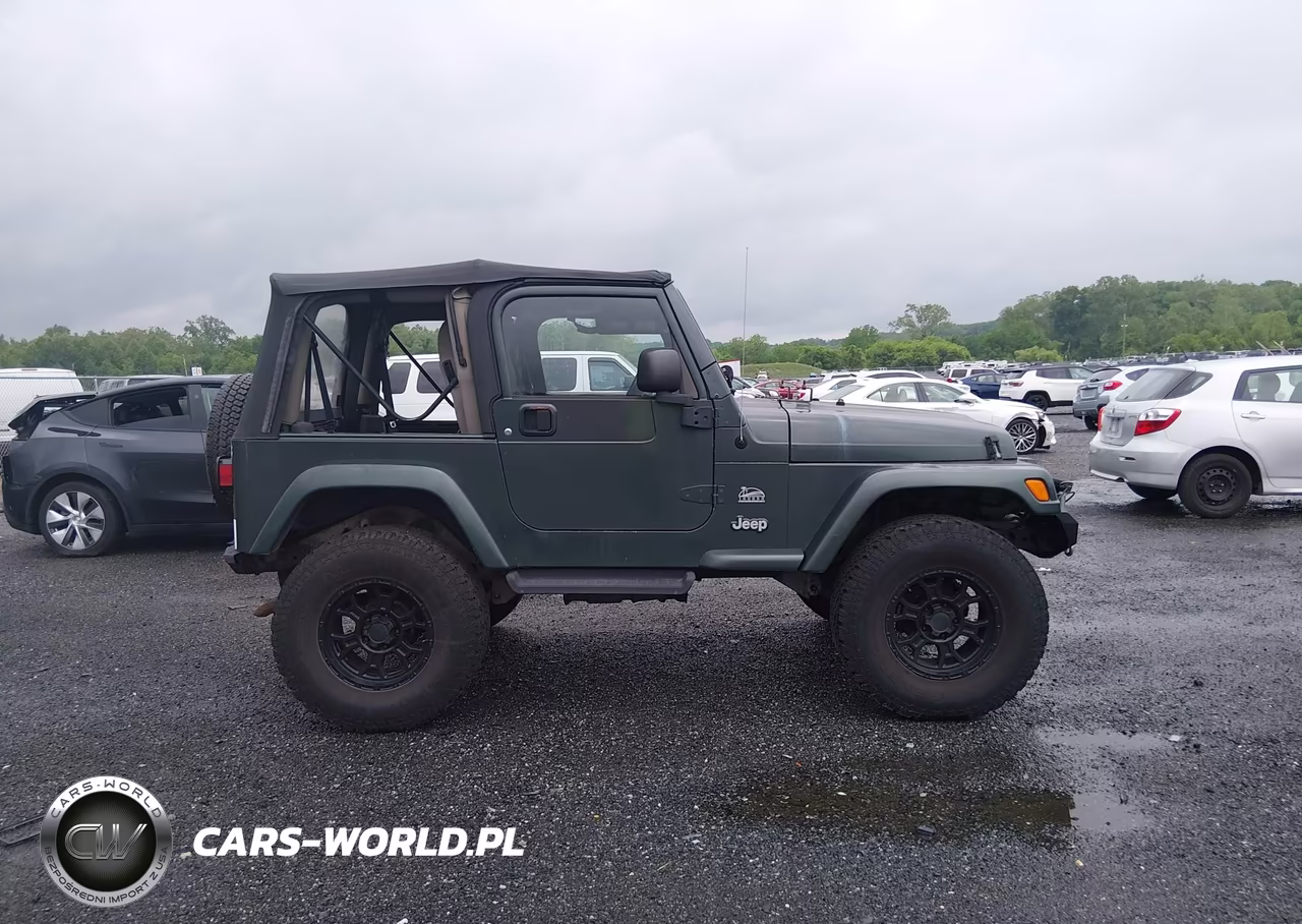 2003 Jeep Wrangler Sahara VIN:1J4FA59S43P376862 - 13