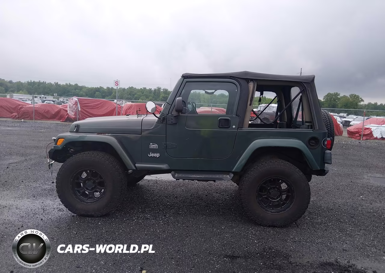 2003 Jeep Wrangler Sahara VIN:1J4FA59S43P376862 - 14