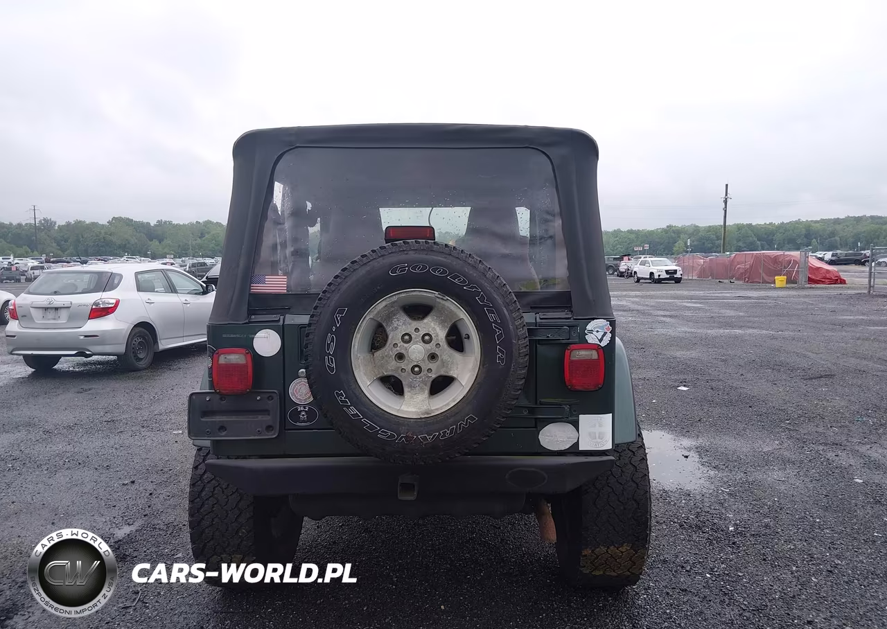 2003 Jeep Wrangler Sahara VIN:1J4FA59S43P376862 - 16