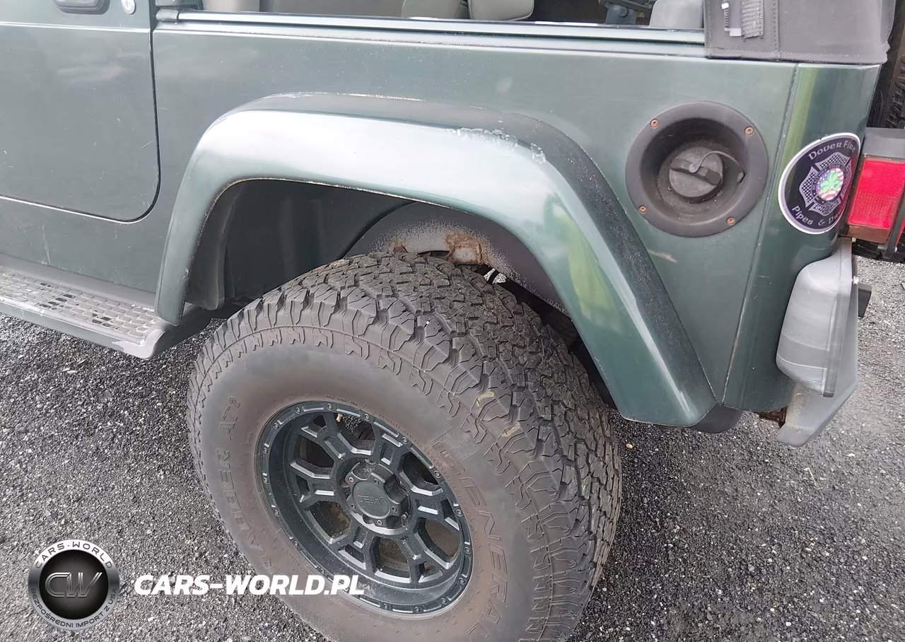 2003 Jeep Wrangler Sahara VIN:1J4FA59S43P376862 - 17