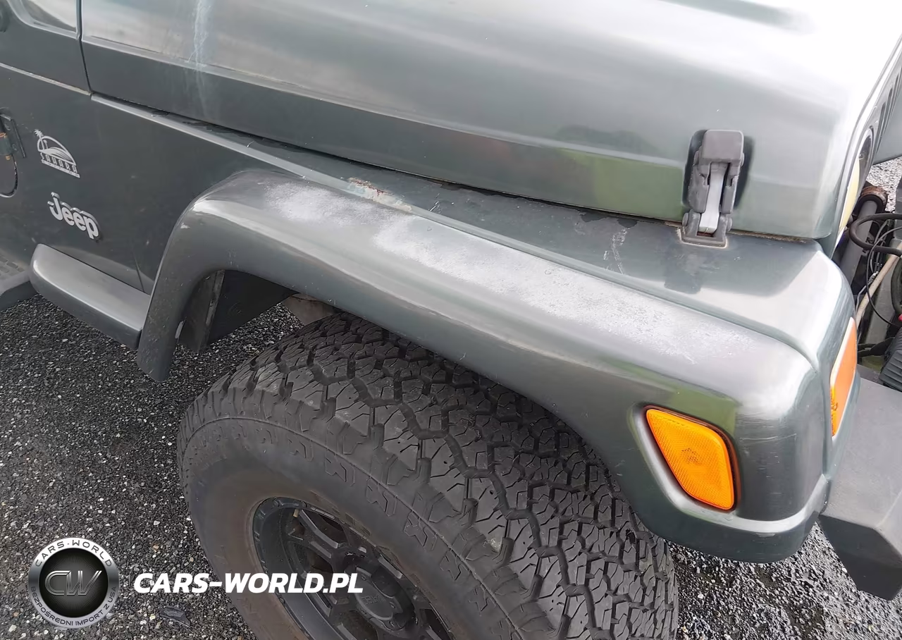 2003 Jeep Wrangler Sahara VIN:1J4FA59S43P376862 - 18