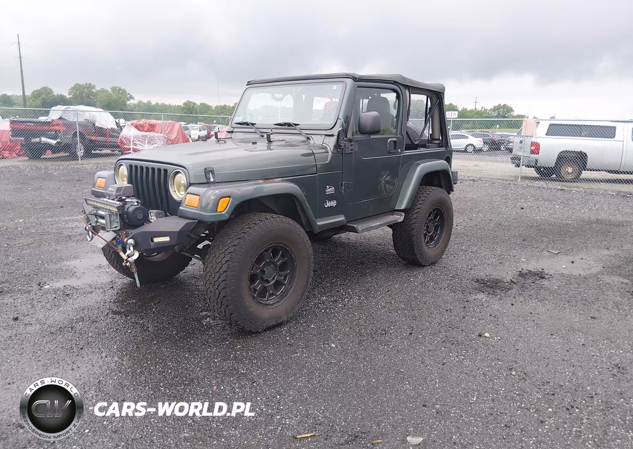 2003 Jeep Wrangler Sahara VIN:1J4FA59S43P376862 - 2