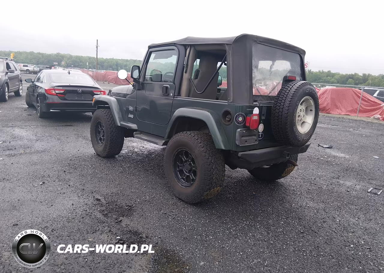2003 Jeep Wrangler Sahara VIN:1J4FA59S43P376862 - 3