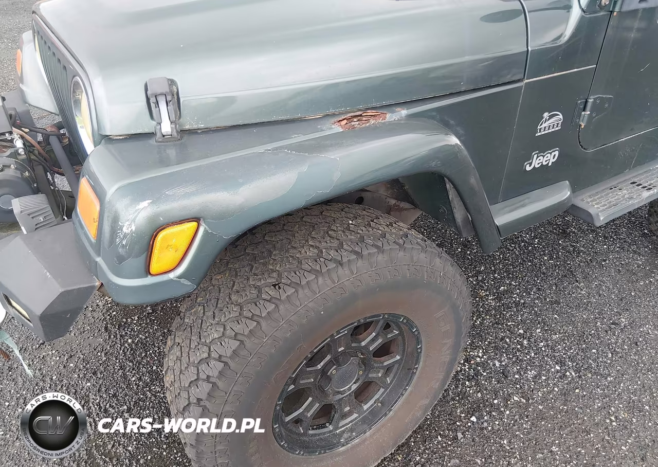 2003 Jeep Wrangler Sahara VIN:1J4FA59S43P376862 - 6