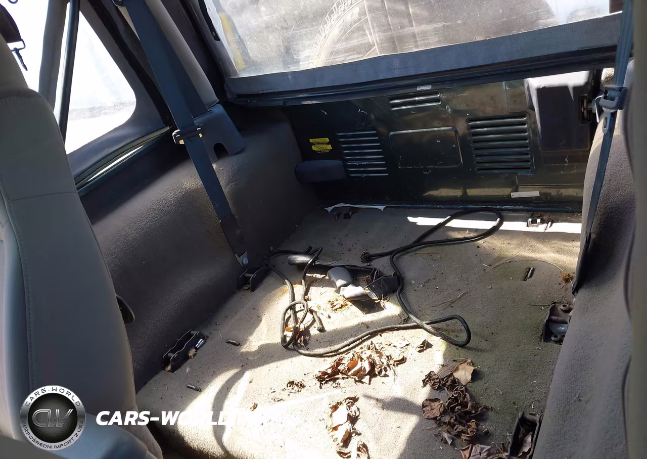 2003 Jeep Wrangler Sahara VIN:1J4FA59S43P376862 - 8