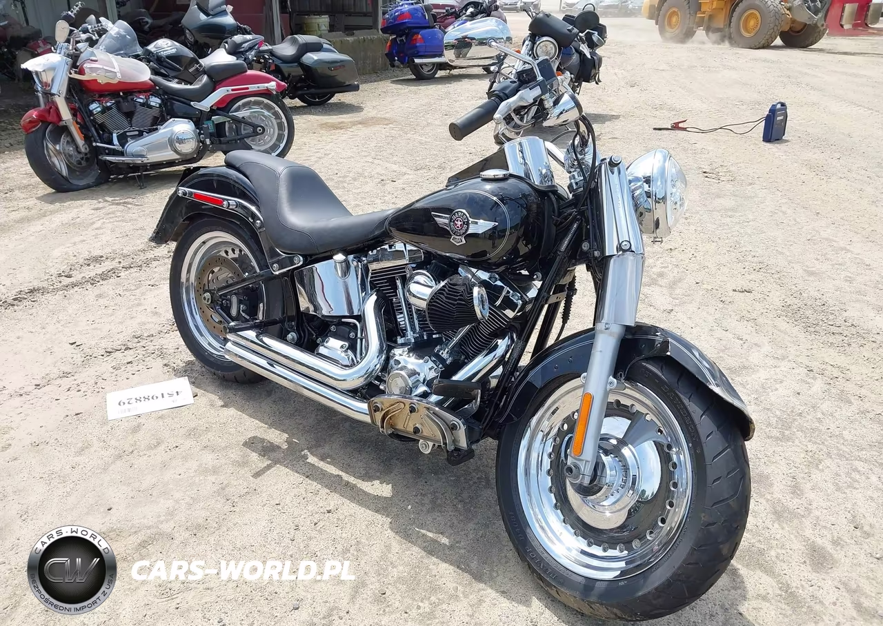 2011 Harley-Davidson Flstf – zdjęcie 1 z 14