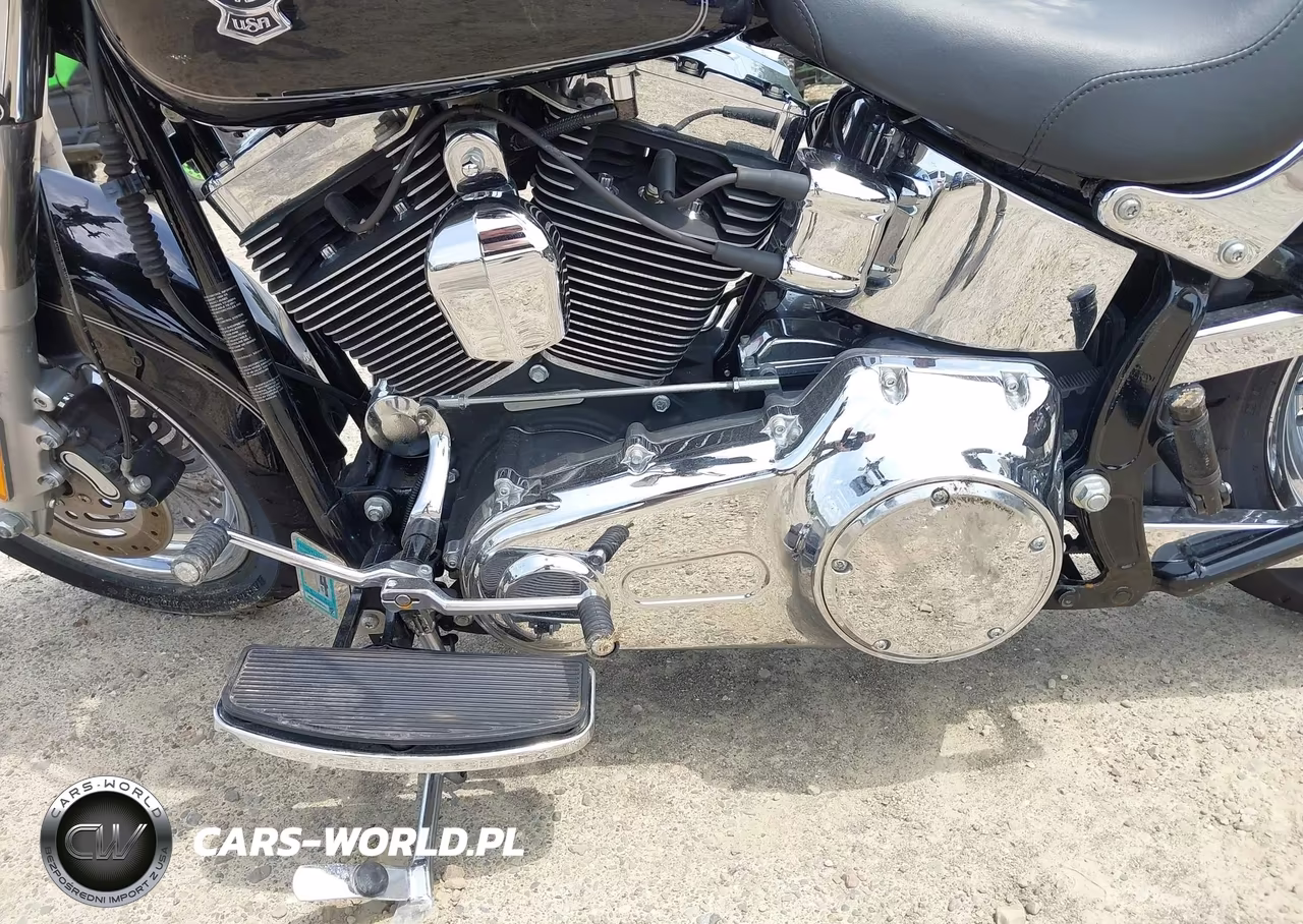 2011 Harley-Davidson Flstf VIN:1HD1BX518BB040955 - 9