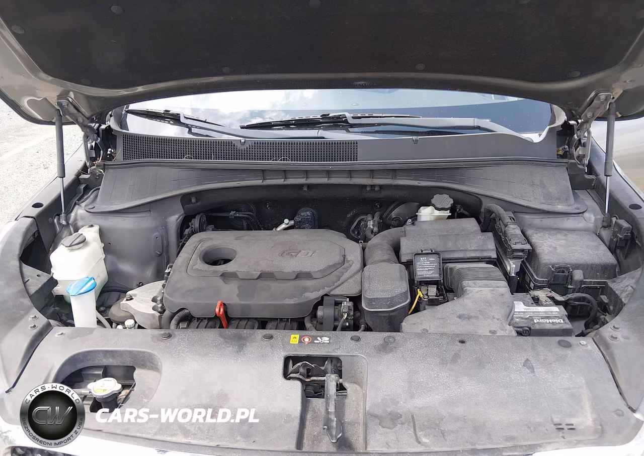 2016 Kia Sorento 2.4L Lx VIN:5XYPG4A32GG041406 - 10