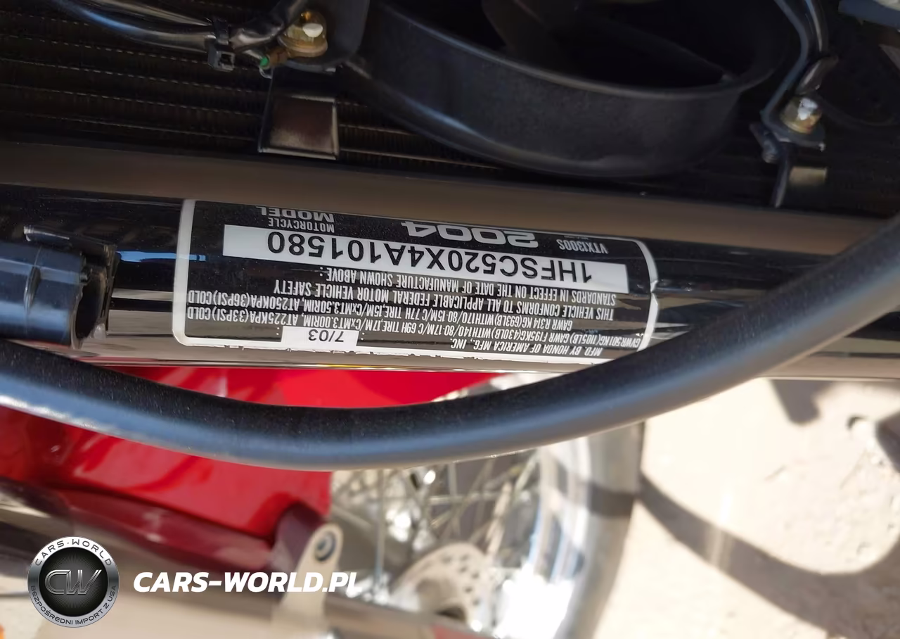 2004 Honda Vt1300 S VIN:1HFSC520X4A101580 - 10