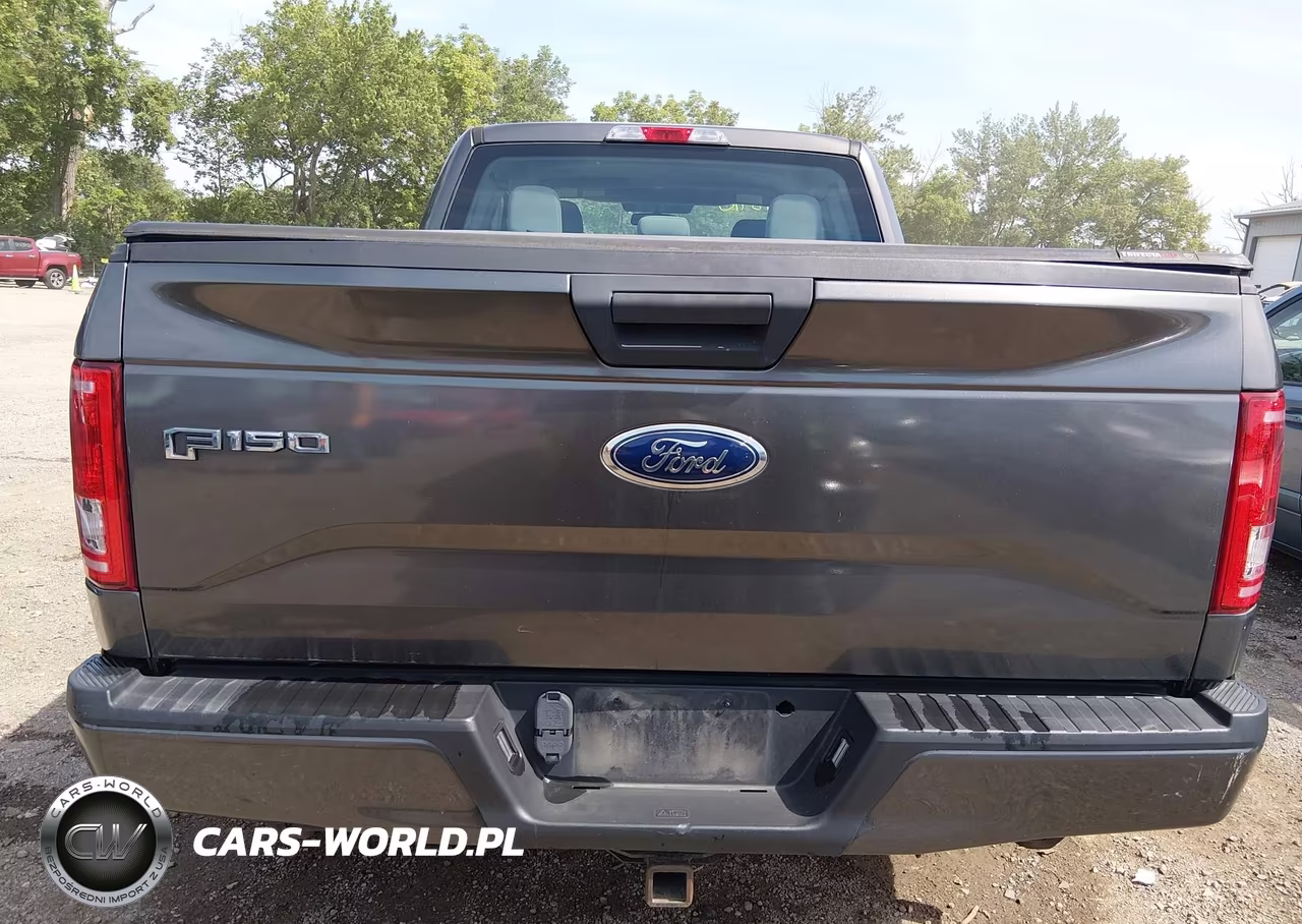 2015 Ford F-150 Xl VIN:1FTEX1EP3FKE23925 - 16